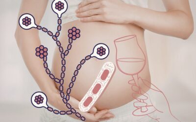 Wenn der Körper selbst Alkohol macht: Darm, Schwangerschaft und das Eigenbrauer-Syndrom